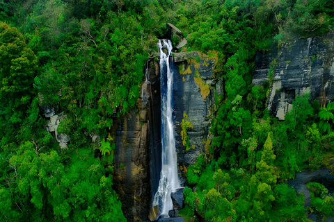 Sigiriya: Nuwara Eliya Day Trip with Tea Factory Visit Full Day Trip with Tea Factory Visit by Tuk Tuk