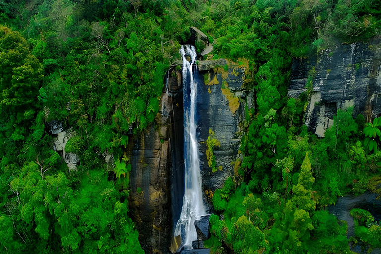 Sigiriya: Nuwara Eliya Day Trip with Tea Factory Visit Full Day Trip with Tea Factory Visit by Tuk Tuk