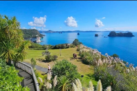 Auckland: Hidden Gem Coromandel& Cathedral Cove Private Day