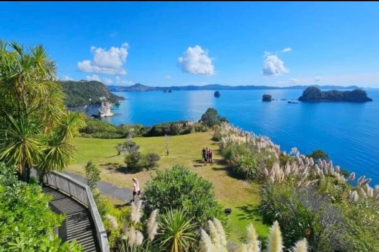 Auckland: Hidden Gem Coromandel& Cathedral Cove Private Day
