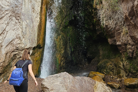 Mendoza Water Path tour