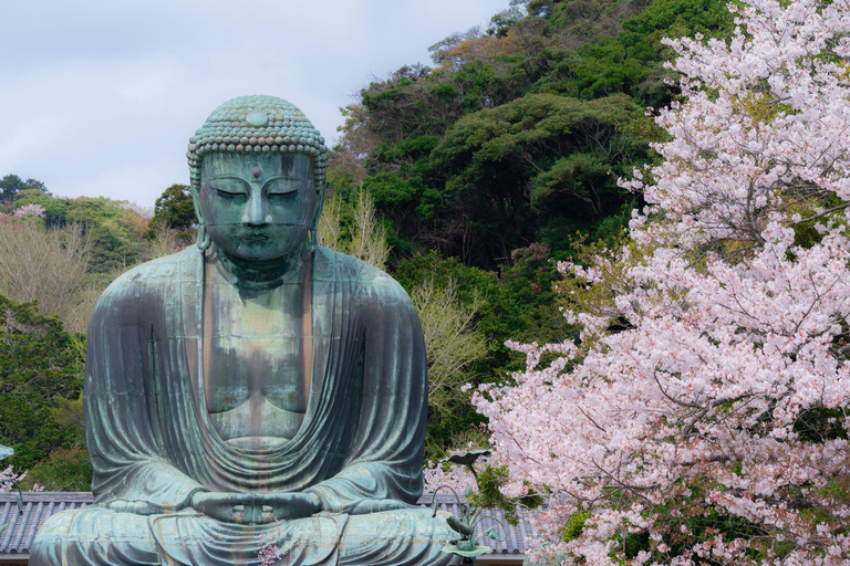 Tokyo: Enoshima, Kamakura, & Yokohama Tour (Enoden Included) Kamakura Y, from Shinjuku