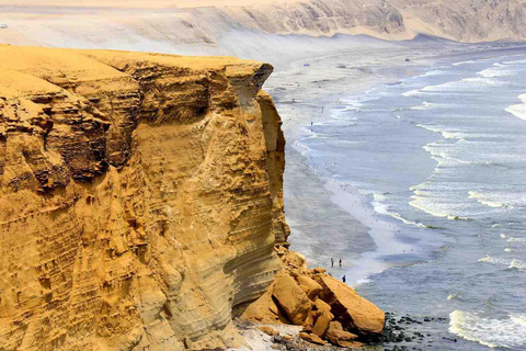 Depuis Lima : excursion à Paracas et à l&#039;oasis de Huacachina