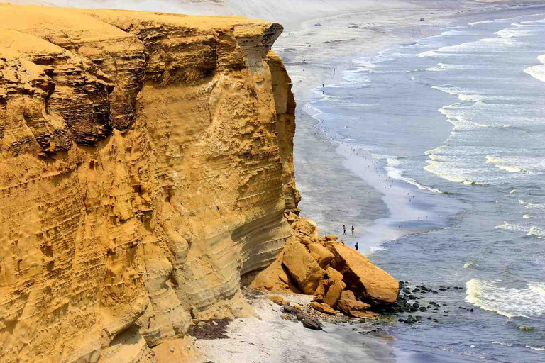 Depuis Lima : excursion à Paracas et à l&#039;oasis de Huacachina