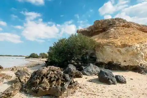 North of Qatar Tour, Jumail Village, Al Zubara Fort,