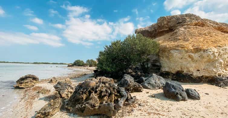 From Doha: Culture & History Qatar Tour to the North & West photo 14