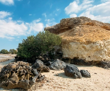 Tour del Nord del Qatar, Villaggio di Jumail, Forte di Al Zubara,