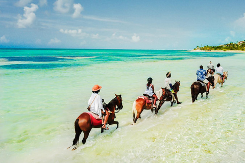 Providenciales: Beach and Ocean Horseback Riding Adventure