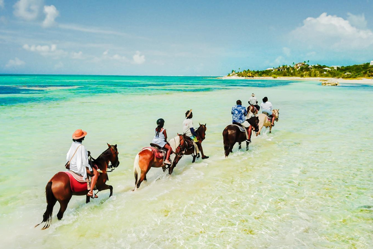 Providenciales: Beach and Ocean Horseback Riding Adventure