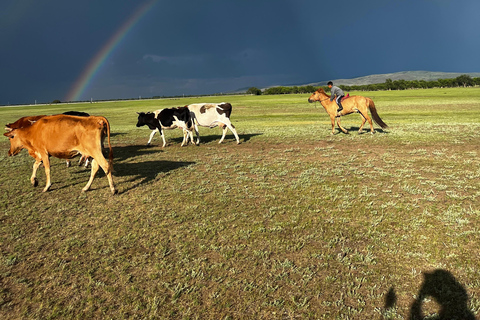 Ulaanbaatar: 4-Day Nomadic Life Experience with Meals 4 Day Nomadic Life Experience In Northern Mongolian