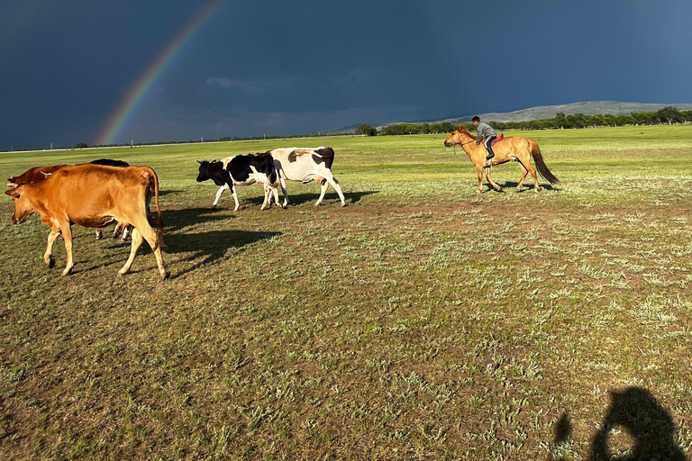Ulaanbaatar: 4-Day Nomadic Life Experience with Meals 4 Day Nomadic Life Experience In Northern Mongolian