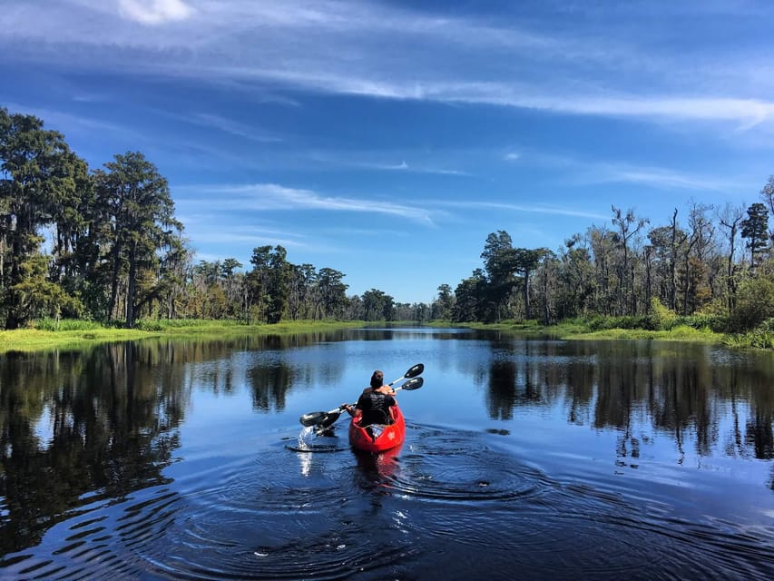 NouvelleOrléans Excursion en kayak dans le marais de Manchac