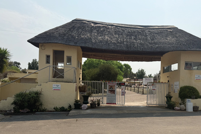 Johannesburg : visite guidée de la mine de Mapatiza et de son showroomJohannesburg : visite guidée de la mine de Mapatiza avec salle d&#039;exposition