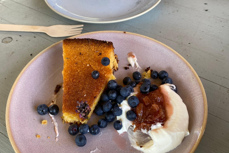 Stockholm: Mushroom and Berries Foraging Tour with Lunch