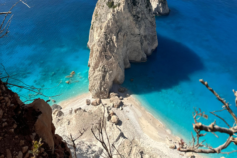 Boottochtjes met glazen boot om schildpadden te spotten