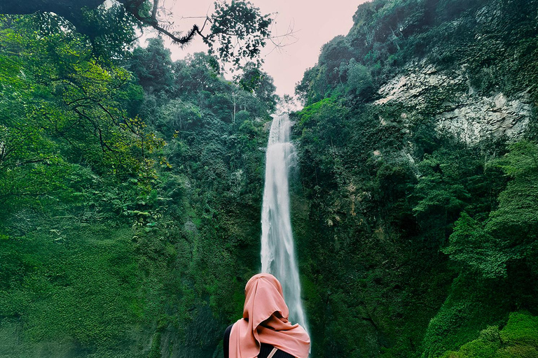 Jakarta: Bandung Waterfall, Dusun Bambu & Tea Tour From Jakarta : Private Bandung Tour