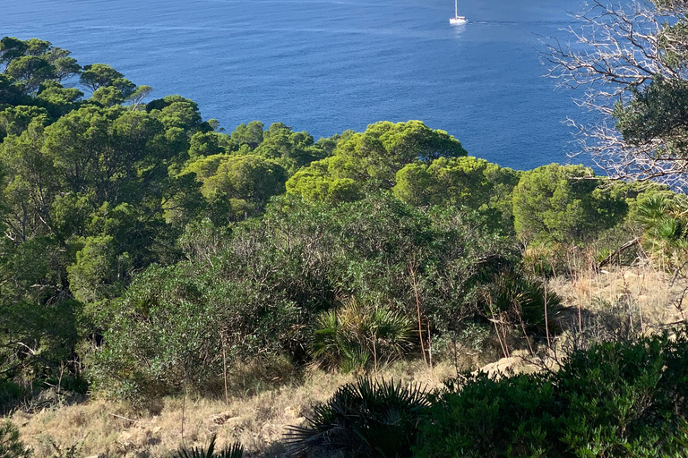 Serra Tramuntana: niezapomniana, łatwa wędrówka z pięknymi widokami