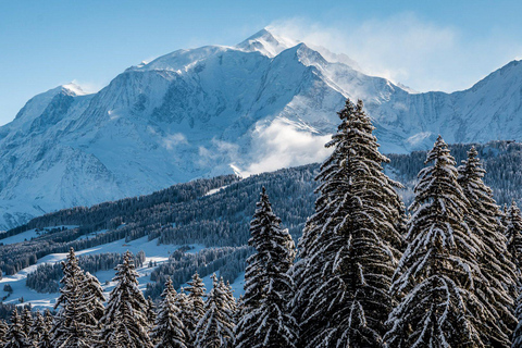 Halbprivate Tour nach Chamonix Mont-Blanc von Genf ausHalbprivate Tour nach Chamonix Mont-Blanc ab Genf