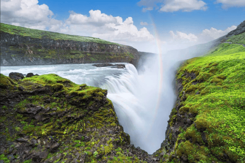 Reykjavik: 8-dagars rundresa med liten grupp runt Island Sommar