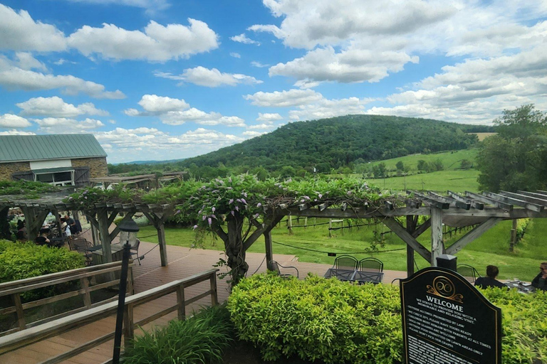 Winery Bus Tour from Metro DC - Visit 3 Wineries in One Day!