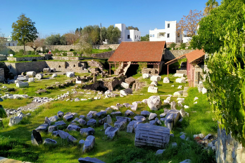 From Bodrum Port: Full-Day Tour with Castle and Mausoleum