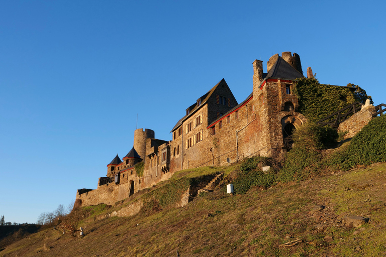 Depuis Alken : Croisière touristique dans la vallée de la Moselle