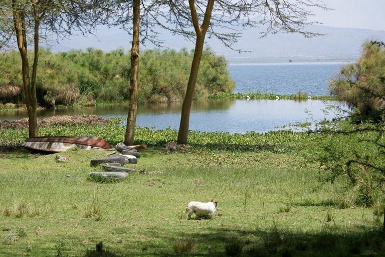 From Nairobi: Naivasha Wellness Retreat with Nature Walks