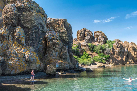 Da Icmeler: Gita in barca sulla costa turca del Mar Egeo con pranzo