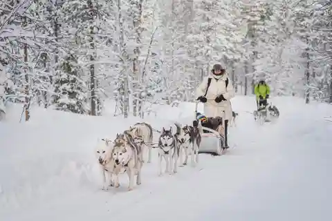 Excursiones a las Luces Polares de Levi: Senda del Gnomo Safari en Husky 15km
