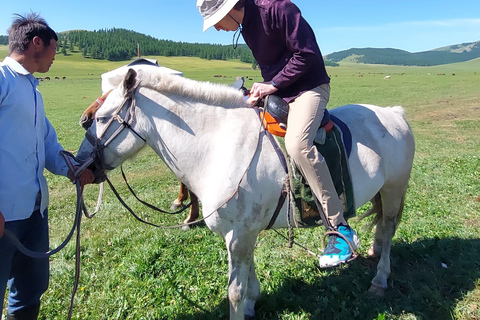 Nomad Family Home Stay in Arkhangai Province