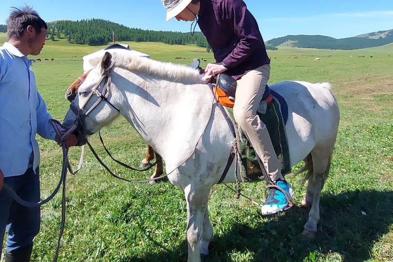 Nomad Family Home Stay in Arkhangai Province