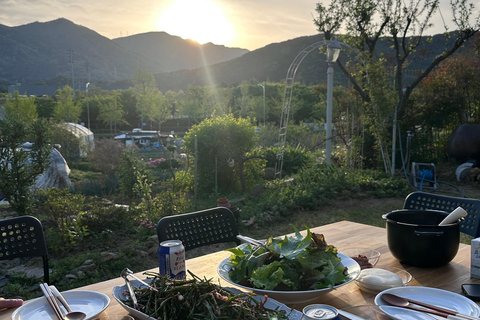 Busan: Korean Cooking Class with Kimchi and Gimbap