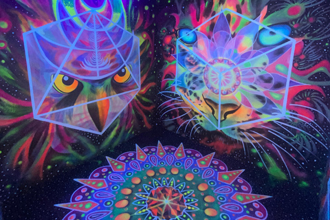 City Tour + Comuna 13 Medellín: Plaza Botero, Metro Cable, Pueblito Paisa. City Tour + Comuna 13 Medellín: Plaza Botero, cable car, Pueblito Paisa.