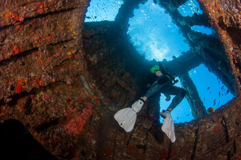 Sunshine Coast: Scuba Dive the Ex-HMAS Brisbane Ship Wreck