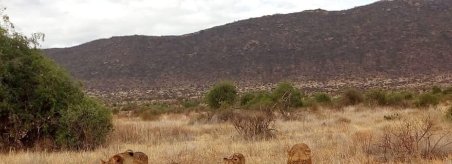 Parc national de Tsavo Est : Circuit de 2 jours depuis Mombasa
