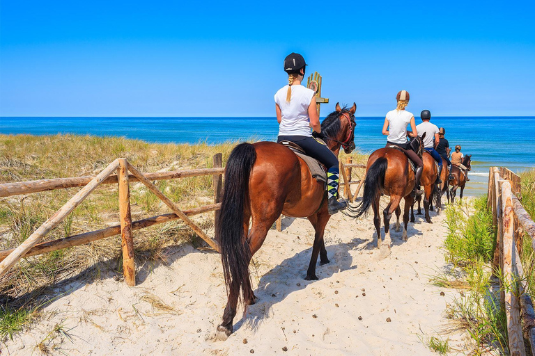 Antalya/Belek Beach & Forest Horse Riding Experience Antalya/Belek Beach Horse Riding Experience