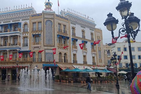 Tunis, Carthage & Bardo Museum: A Journey Through History From Mahdia