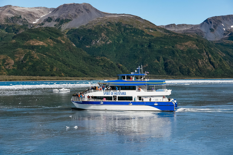Seward: Kenai Fjords National Park Glacier Cruise w/ Lunch 8:00 AM Departure