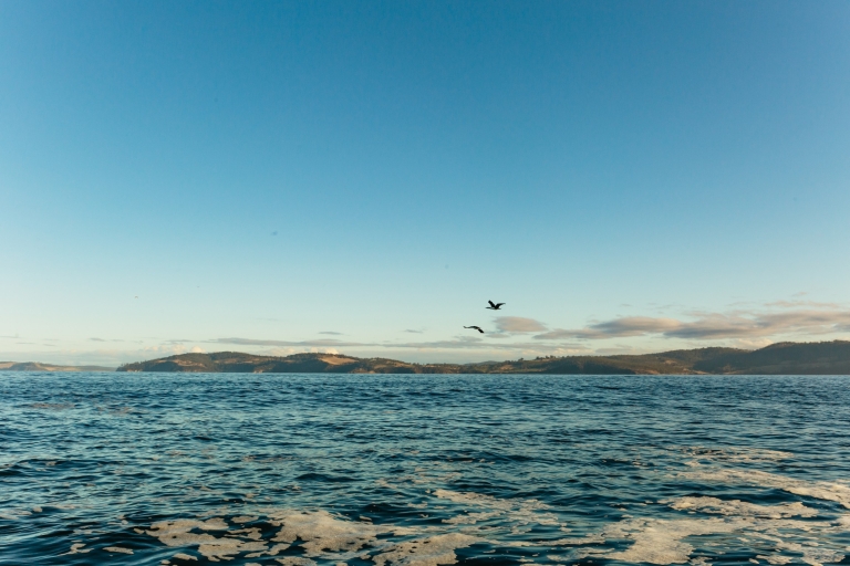 Hobart: 2,5-godzinna rejs do latarni morskiej