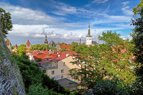 تالين: جولة سير خاصة وشخصية في البلدة القديمةتالين: جولة سير شخصية خاصة في البلدة القديمة لمدة 3 ساع