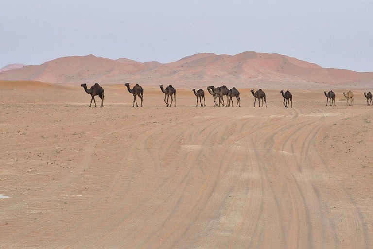 Salalah: Rub Al Khali Overnight Desert Adventure