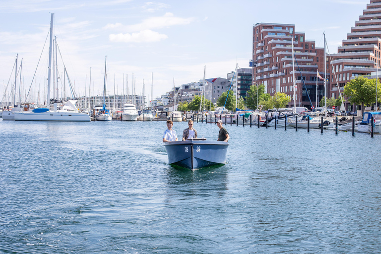 Aarhus: Aluguel de barco por 1 ou 1,5 hora - Não é necessária licençaAarhus: Aluguel de barco por 1 hora - Não é necessária licença