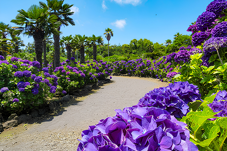 Circuit du festival Hydragea de Jeju : Itinéraire EST