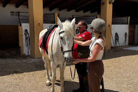 Ibiza : Expérience privée d'équitation dans la nature