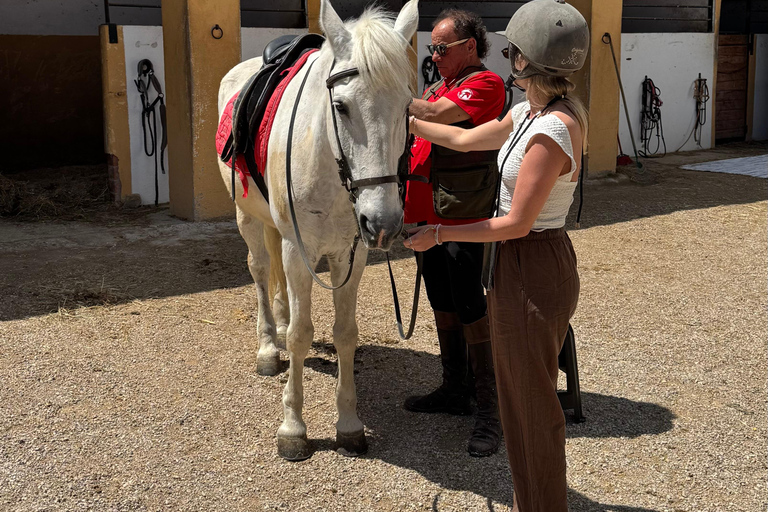 Ibiza : Expérience privée d'équitation dans la nature