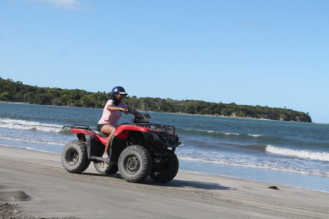 Puerto Plata: Cachoeiras de Damajagua + Tirolesa + Passeio de quadricicloPuerto Plata: Cachoeiras de Damajagua + Tirolesa + Passeio de Quadriciclo