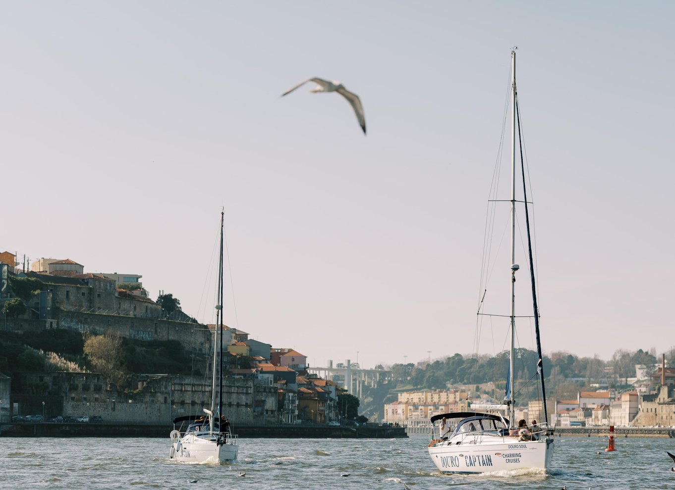 Porto: Charmerende sejlbådskrydstogt med portvin, mulighed for solnedgang