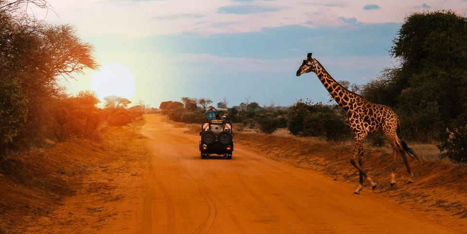 3 Days Kruger Safari from Johannesburg | GetYourGuide