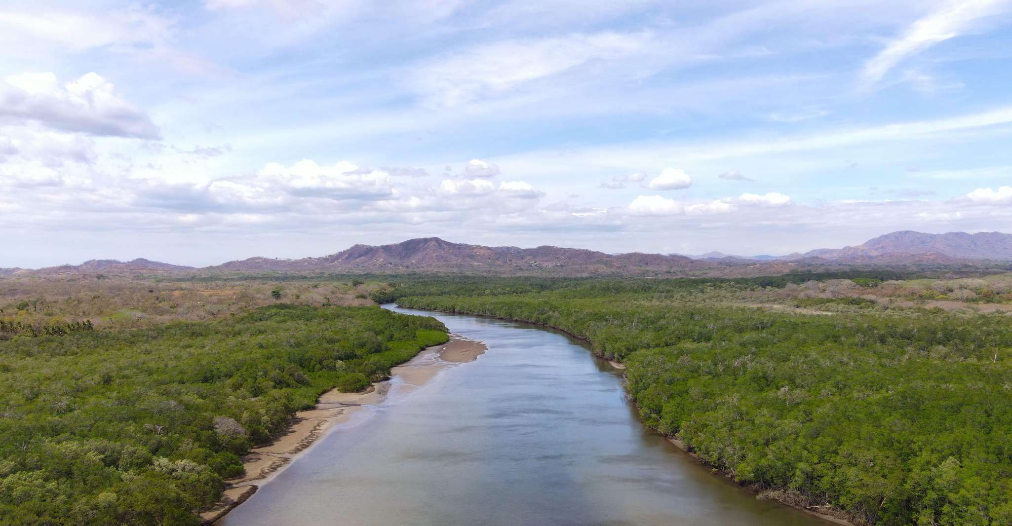 Tamarindo, Howler Monkey Mangrove Kayaking Tour - Housity