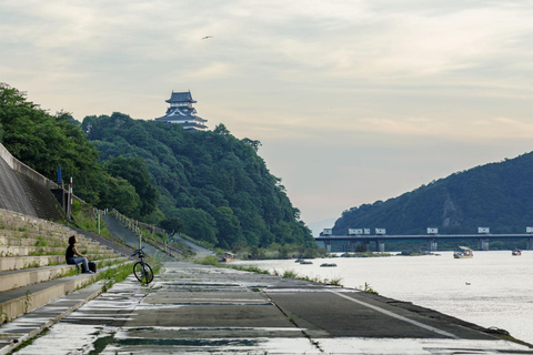 1/2 Day Tour from Nagoya: Inuyama Castle & Tea (small group) English Tour